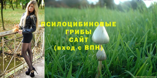 2c-b Алзамай