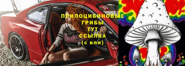 бошки Алексин