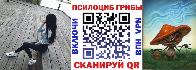 Псилоцибиновые грибы GOLDEN TEACHER  цена наркотик  Карпинск 