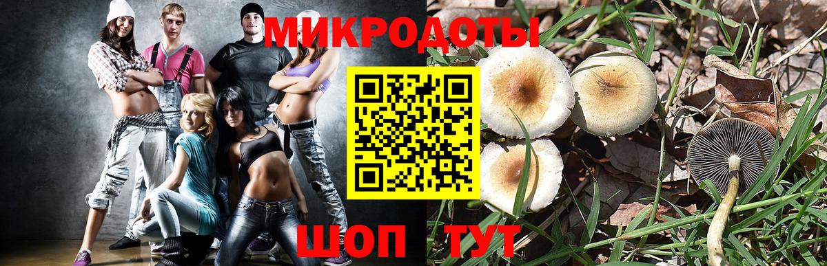 Галлюциногенные грибы ЛСД Карпинск
